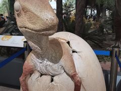 -湖南省地质博物馆