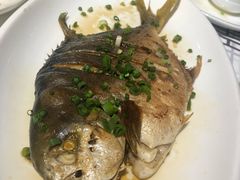 -强记海鲜·大排档(蛇口新街店)