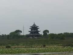 -上海海湾国家森林公园