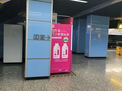 -大龙山(地铁站)