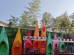 -上海海湾国家森林公园