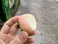 -大观篆新农贸市场