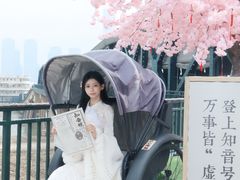 -武汉知音号