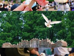 -音乐台