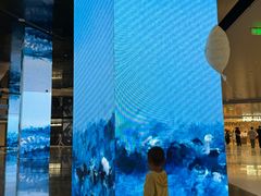 -深圳湾万象城(南山店)