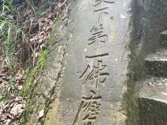 -大金鹰园