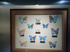 -上海昆虫博物馆