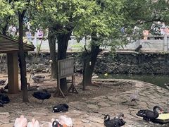 -黔灵山公园
