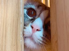 -白兔子密室(长寿路店)