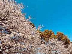 -浙江西子宾馆·牡丹厅