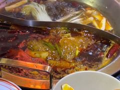 -蜀大侠火锅(森兰花园城店)