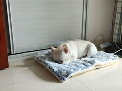 -清晖小苑•顺德地方菜(壹海城店)