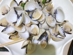 -海大大蒸汽海鲜餐厅·粤菜·特色小炒(欢乐颂店)