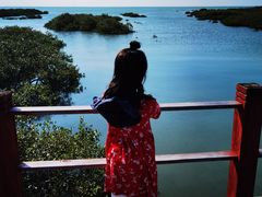 -北海金海湾红树林生态旅游区