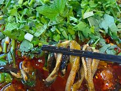 -乐山第一家临江鳝丝(茶坊路店)