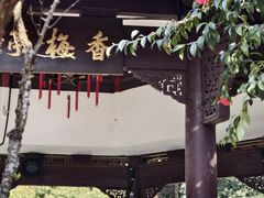 -杭州黄龙洞