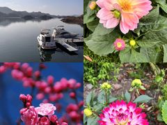 -新江湾城公园