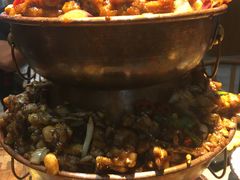 -蛙麻蛙辣炭火蛙锅(南环大街店)
