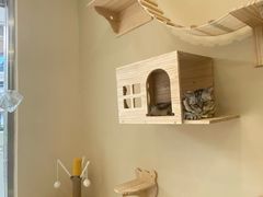 -猫力发电所·宠物专门店