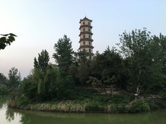 -商丘市人民公园