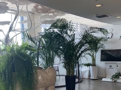 -哈尔滨圣安口腔专科医院