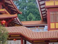 -三水森林公园