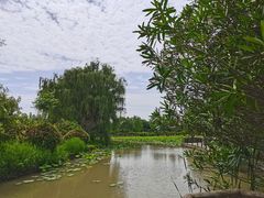 -西安浐灞国家湿地公园
