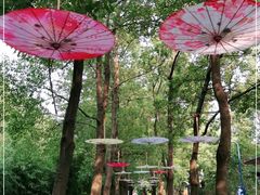 -溱湖国家湿地公园