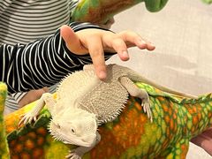 -FAIRYLAND龙族星球主题餐厅(凯丹广场店)