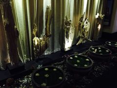 -素可汤泉(天宝大厦店)