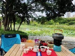 -五缘湾湿地公园