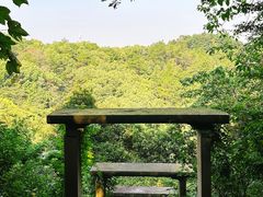 -宁波市保国寺古建筑博物馆