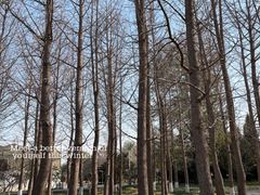 -石家庄市植物园