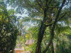 -海口观澜湖火山温泉谷