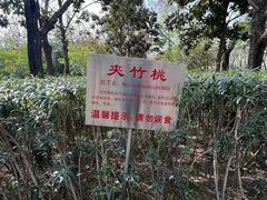 -莲湖公园