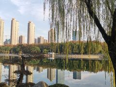 -后襄河公园