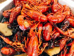 -大孩龙虾(体育场旗舰店)