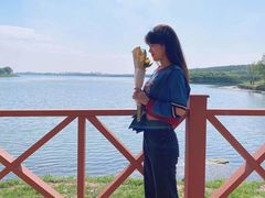 -丁香湖公园