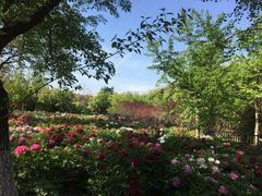 景点-淮海战役纪念馆