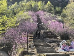 -天台山赤城山景区
