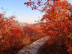 -周口店坡峰岭风景区