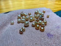 -邵老师打金·黄金加工(大望路总店)