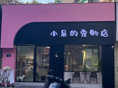 -小呆的宠物店·宠物售卖·宠物寄养(城西店)