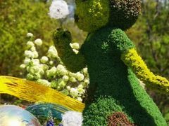 -上海共青森林公园