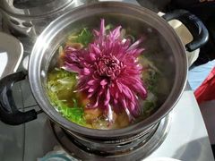 -华强阁菊花宴自助火锅店