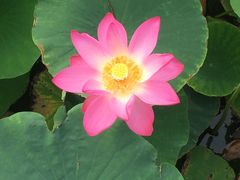 -天津东丽湖风景区