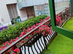 -沪小胖·小龙虾·蓝龙王(八佰伴店)