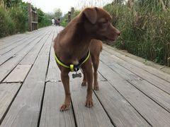 -白鹭湾湿地公园