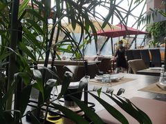 -巴别塔法餐舍(朝阳店)