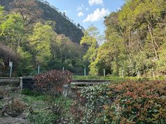 -黔灵山公园